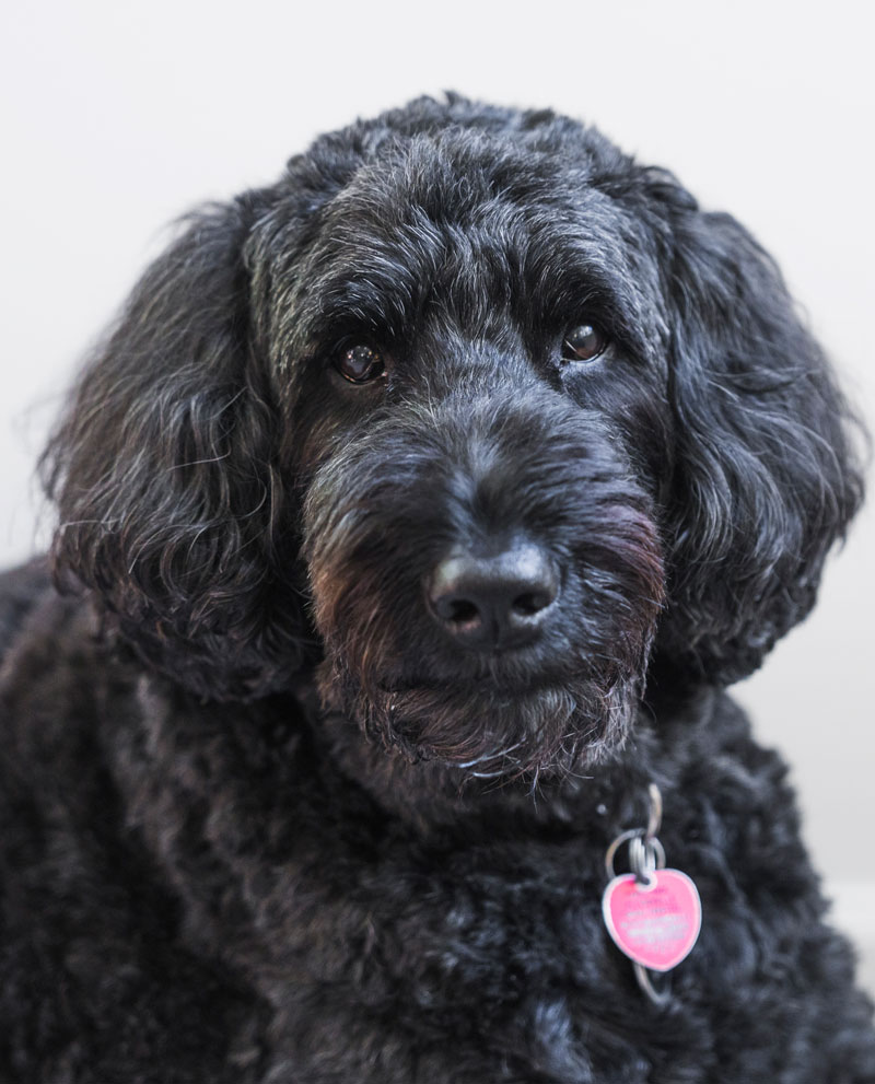 Extract Talent Team Member Finn
